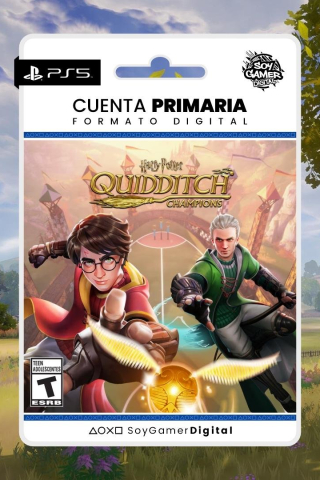 Harry Potter: Quidditch Champions PS5